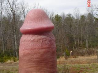 nice cock outside makes me horny...would suck it hard!