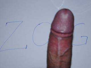 4 ZOIG 1