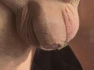 My small freshly waxed please leave comments