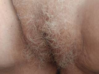 Old pussy