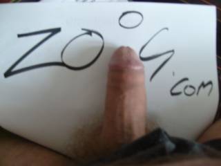 Zoig!
