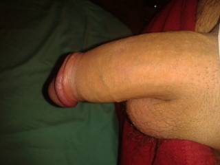 Mmmmm, huge and fresh shaved... exactly how i like it... i want to take your cock deep in my mouth till i feel your cum blast coating my throat!!!