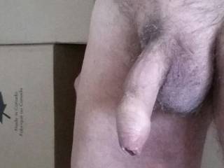 Close-up of my cock as I unpack boxes. Tough to keep my mind on the task at hand, when my hand wants to stroke mycock.