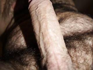 dick