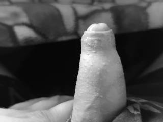 Just wanted to say hello ;o