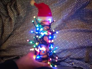 Cock and light\'s with a Santa hat