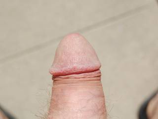 Want It ?