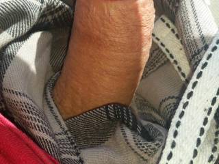 Cock pic