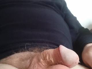 resting cock