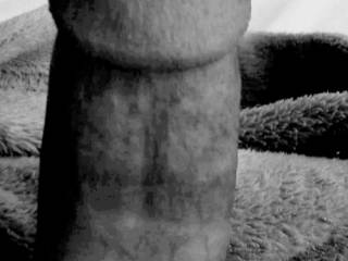 Cock