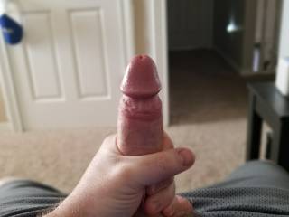 pulled out my cock to give it a squeeze