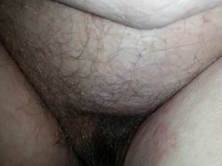 have a guy wanting to fuck my hairy pussy so I let my hair grow out for him
