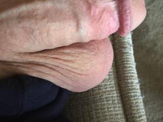 Just my cock and big balls. Ladies any comments?