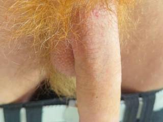 What do you think about my red hairy cock ? :)