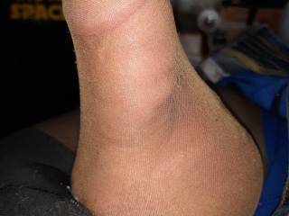 My cock in pantyhose cock sheath