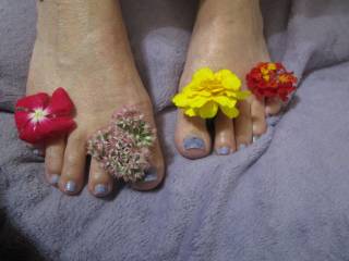 sexy toes
