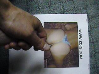 on tigers ass