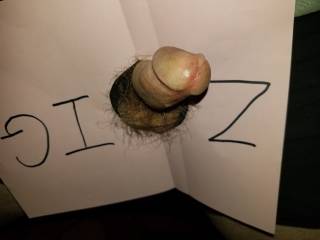 Here's my Little Willy lookin' at ya....