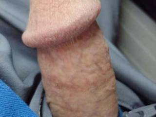 Just a happy dick for a beautiful lady!