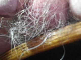 Just my mature hairy ball
I think they need some loven