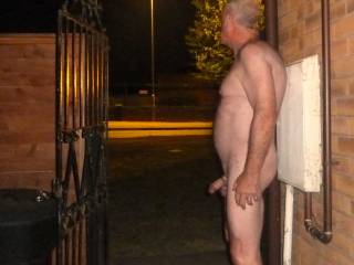 I thought the closed gate might obscure the view so I opened it. Had a wank just after I took the pic.