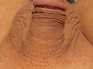 Another picture of my softy while I was bored. It is such a huge turn on showing my cock off to everyone!