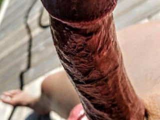 Big hard white cock