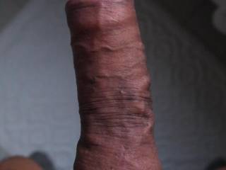 My Cock