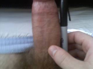 my cock