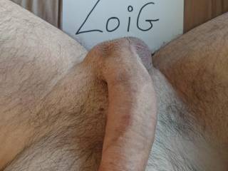 For zoig.com