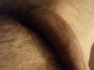 Feeling horny, someone wants to play. Need someone to help me get this one hard as a rock