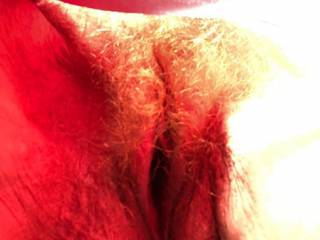 My pussy
