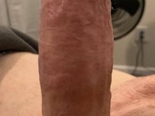 Ddy’s big fat hard cock waiting to be sucked