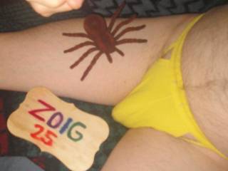 A selfie of my undie pouch as I sit with a spider near by. Sony W290 camera was used.