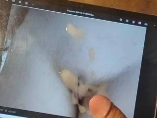 cum tribute for Curiousnewb