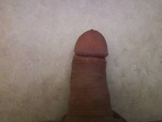 cock