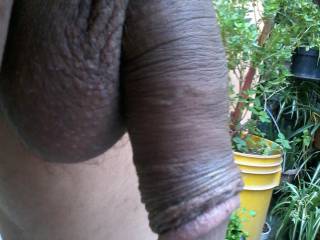 later pull foreskin