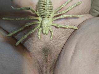 Help there's a spider on the loose