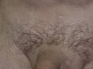 Dick pic