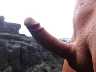 cock