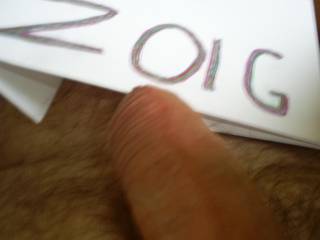 i love zoig
