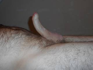my dick