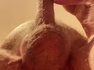 A view from below.