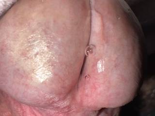 Close up of wet dick
