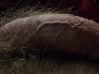 Ready for use !