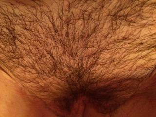 Hairy pussies are back in!! U like?? Cause I do!!