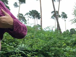 Very tall trees behind with ferns - then on the left my friend gets her big tits out