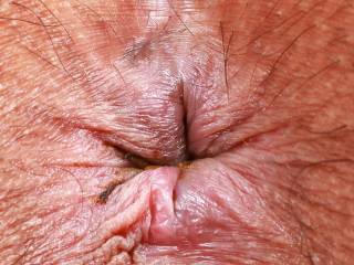 anus