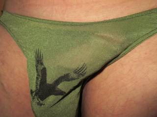 My Cock and Balls in Panties
