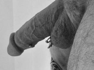 Love taking pictures of my COCK